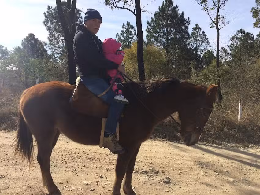 Cabañas juntos a la par