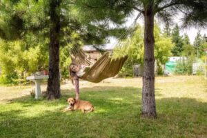 Cabañas la Delfina de Epuyén