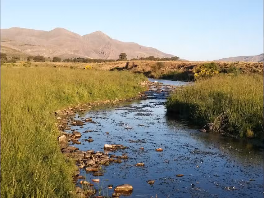 CABAÑAS LA ESPERANZA