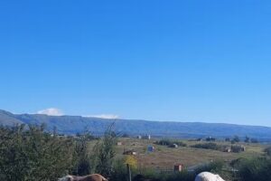 Cabañas La Guadalupe