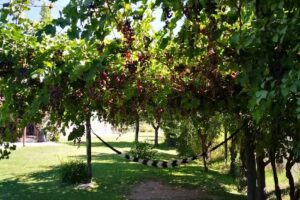 CABAÑAS La Guillermina. Villa Potrerillos