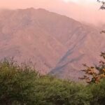 Cabañas La Luminosa