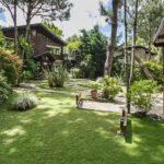 Cabañas La Mandrágora