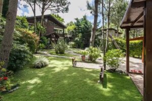 Cabañas La Mandrágora