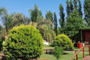 Cabañas La Misionerita SAT