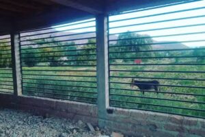 Cabañas La Promesa de Tilcara