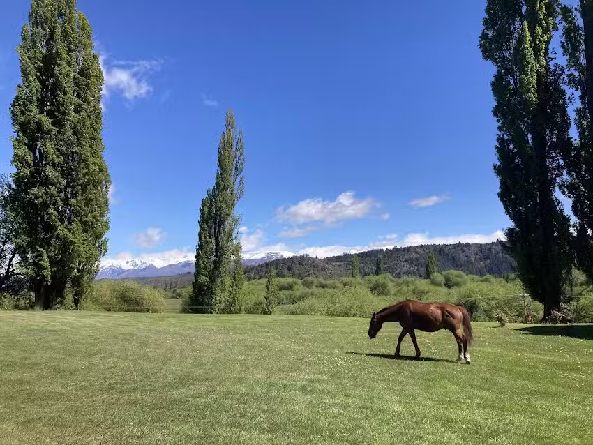 Cabañas La Querencia