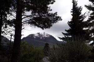 Cabañas Lago Gutiérrez