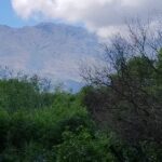 Cabañas Las Achiras