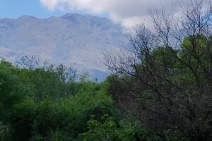 Cabañas Las Achiras