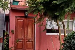 Cabañas Las Cañitas