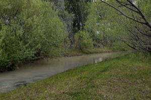 Cabañas Las Canteras