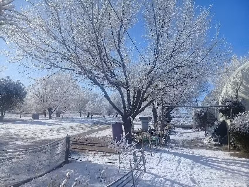 CABAÑAS LAS CARRETAS