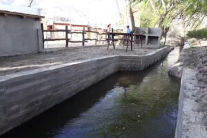 Cabañas Las Castañas