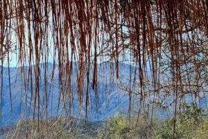 Cabañas Las Chicharras
