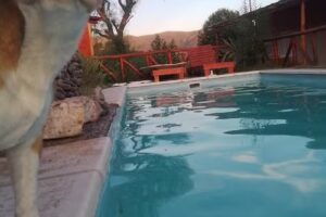 Cabañas Las Cuatro Eses