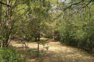 Cabañas Las Cuatro Estaciones