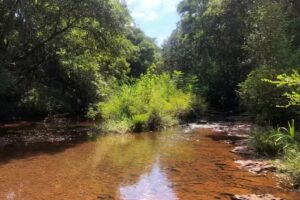 Cabañas “Las doñas”
