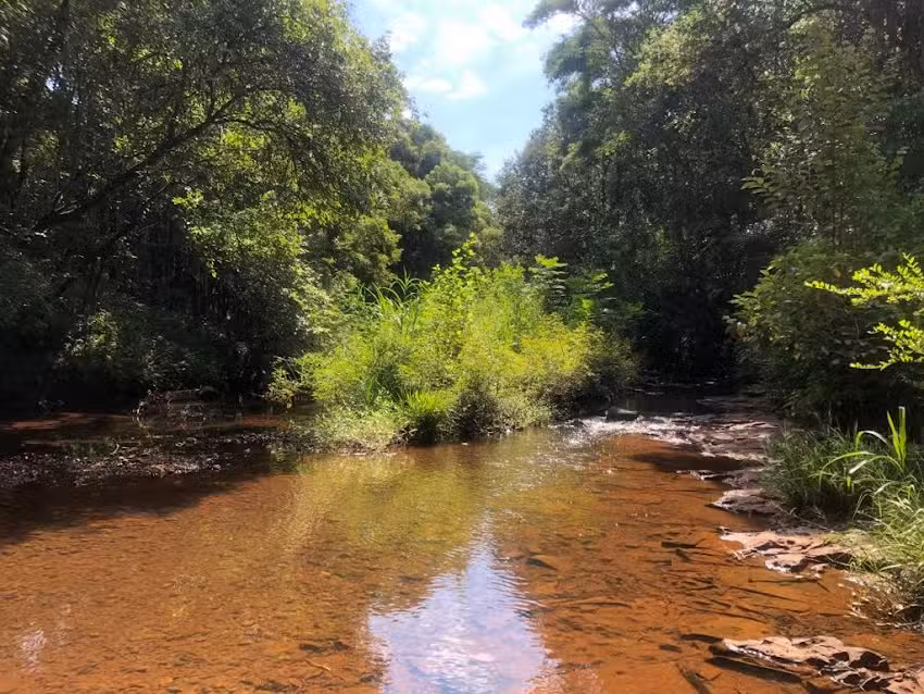 Cabañas “Las doñas”