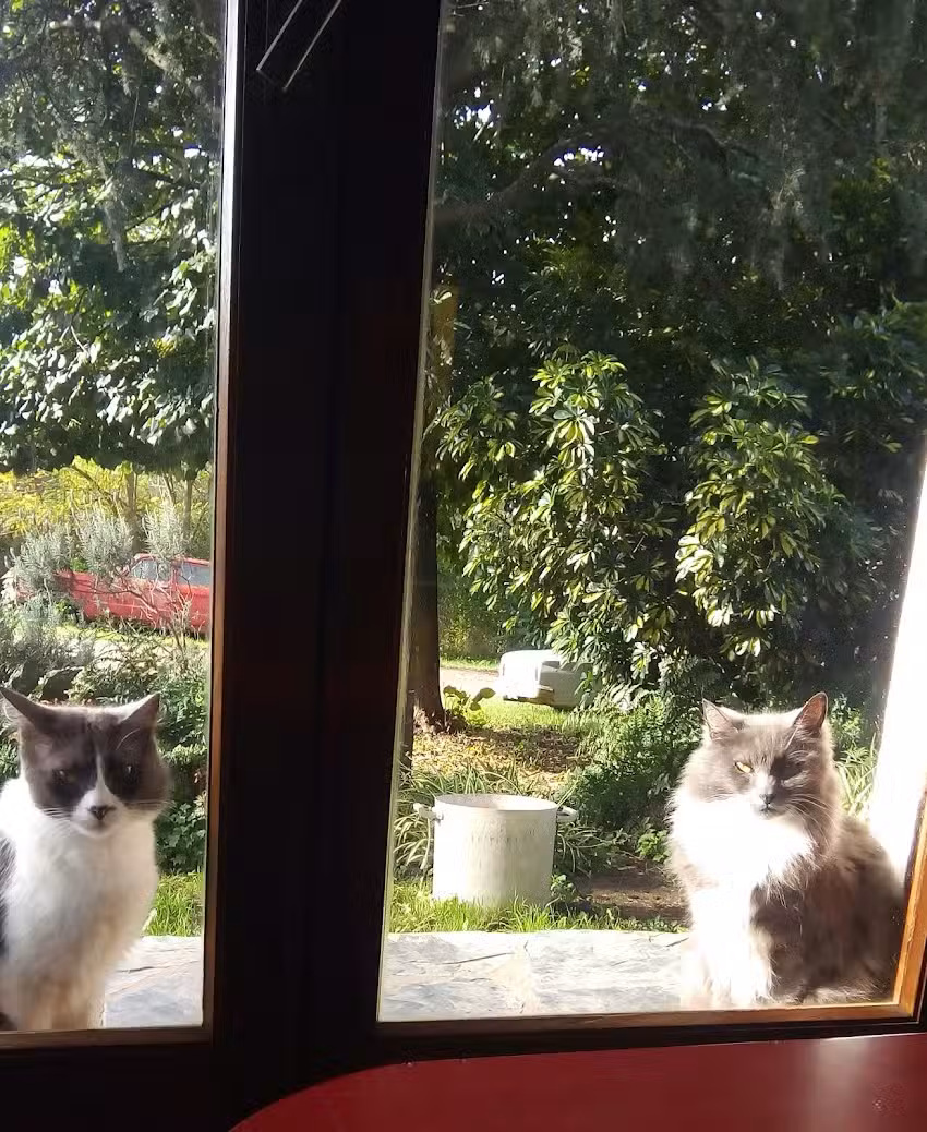 Cabañas Las Dos Marías