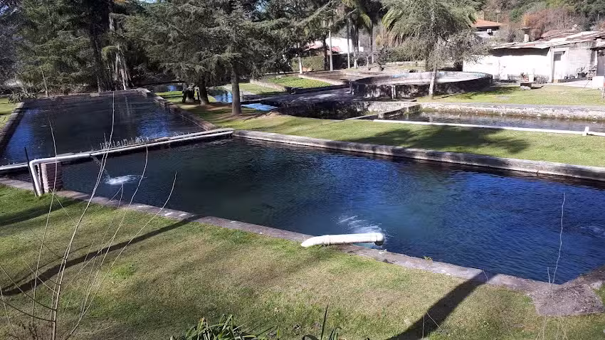 Cabañas Las Hortensias