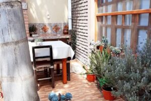 CABAÑAS LAS PALMERAS