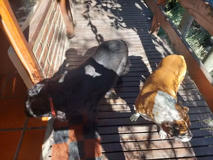 Cabañas Las Piemontesas