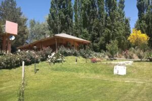 Cabañas Las Rosas De Huinganco