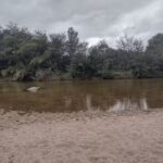 Cabañas Las Soñadas