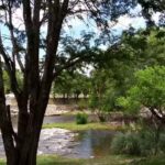 Cabañas Las Tinajas