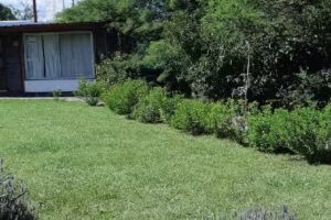 Cabañas Las Vertientes