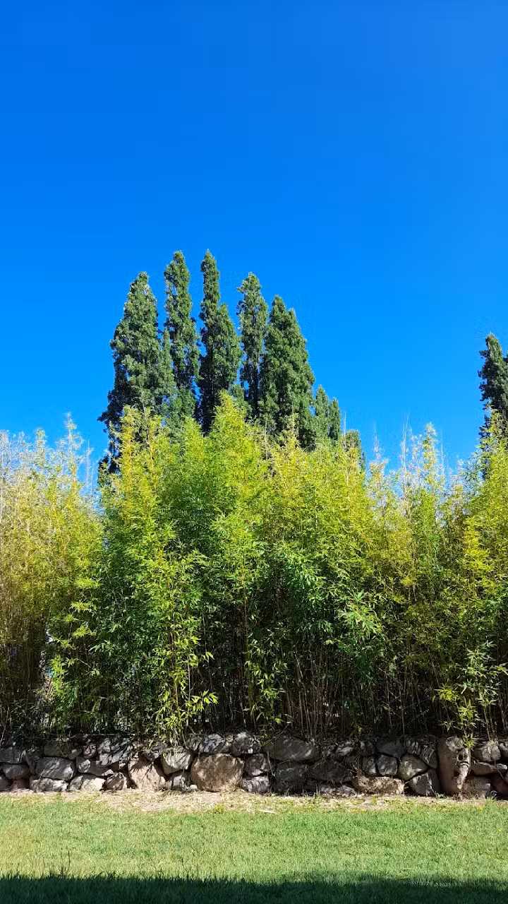 Cabañas LindaMorada