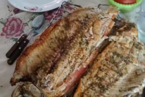 Cabañas Lo de Fátima