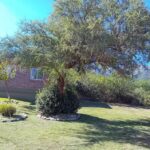 CABAÑAS LO DE FRIDA