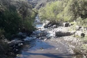 Cabañas Lofts de Caminos al Ser