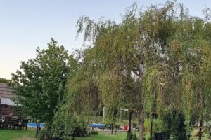 Cabañas Lomas De Ramallo