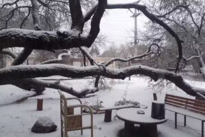 Cabañas Los 4 Algarrobos