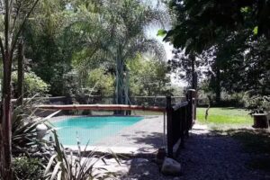 Cabañas los Abedules