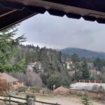 Cabañas Los Abedules