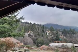 Cabañas Los Abedules