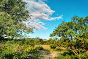 Cabañas Los Algarrobos
