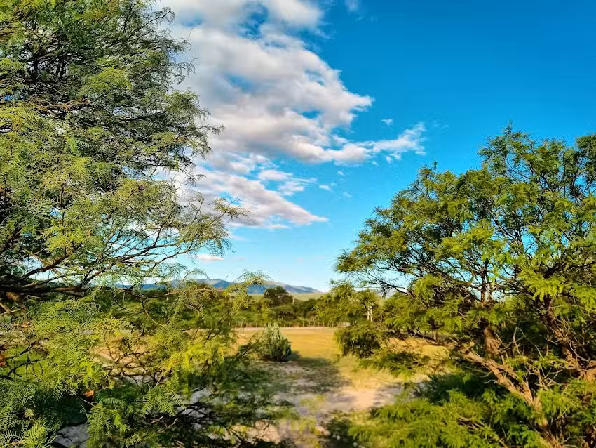 Cabañas Los Algarrobos