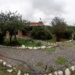 Cabañas Los cactus de Mateo