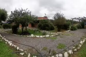 Cabañas Los cactus de Mateo