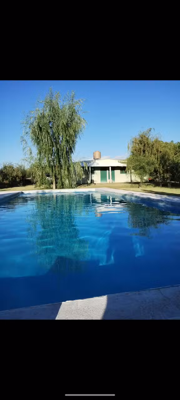 Cabañas Los Ciruelos