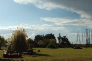 Cabañas Los Dos Leones