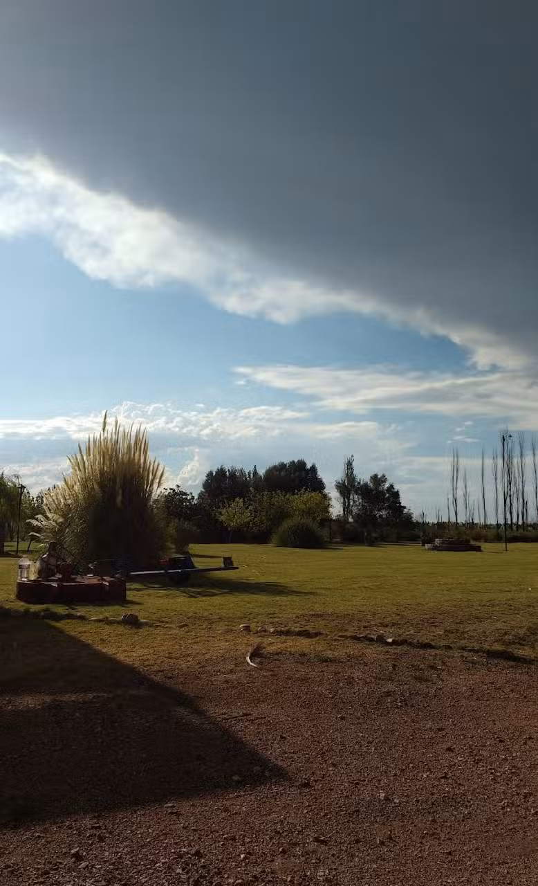 Cabañas Los Dos Leones