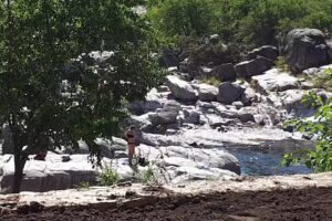 Cabañas Los Elefantes