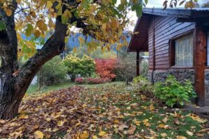 Cabañas Los Nogales, Lago Puelo