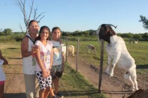 Cabañas Los Patricios